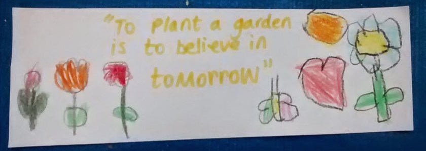 IMG_20150422_184913523